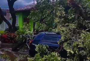 Tempestade provoca estragos em Valadares, com ventos de até 100 km/h