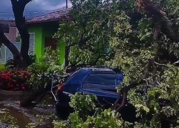 Tempestade provoca estragos em Valadares, com ventos de até 100 km/h