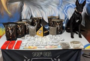 Ação da PM termina com apreensão de 10 quilos de maconha e prisão de mulher em Ipatinga
