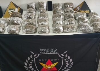 Polícia Militar apreende skunk avaliado em R$ 155 mil em Coronel Fabriciano