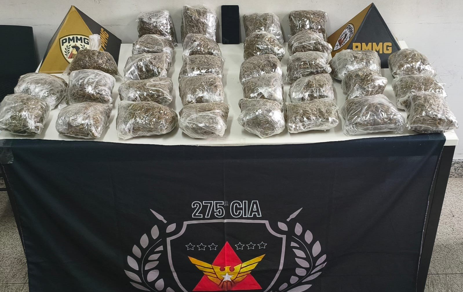 Polícia Militar apreende skunk avaliado em R$ 155 mil em Coronel Fabriciano