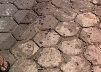 Mulher fica ferida após ser atingida por faca durante discussão com companheiro no bairro Vale do Sol II