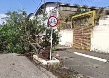Tempestade provoca estragos em Valadares, com ventos de até 100 km/h